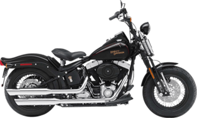 Harley-Davidson Cross Bones görseli